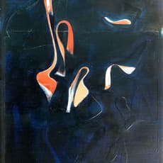 Elmira Iravanizad