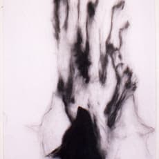 Sondra Meszaros