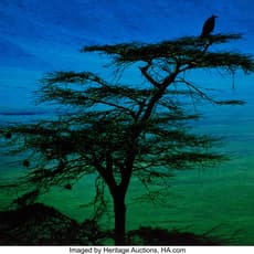 Pete Turner