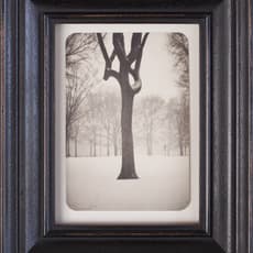 Jefferson Hayman