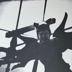 Kate Craig
