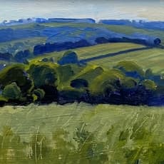 Daisy Sims Hilditch