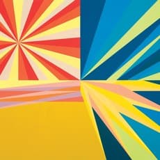 Odili Donald Odita