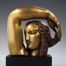 Alfred Auguste Janniot