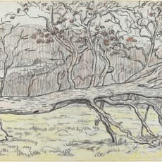 Georges Lacombe