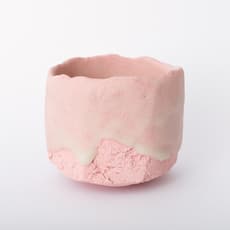 Tomoyuki Hoshino