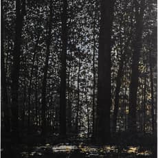 Wulf Winckelmann