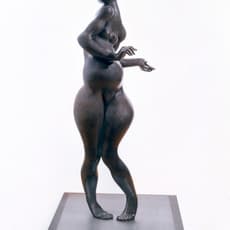 Hugo Robus