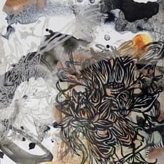 YoAhn Han