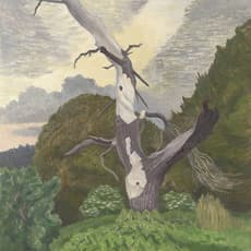 John Nash (1893-1977)