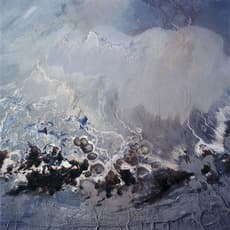 David Maisel