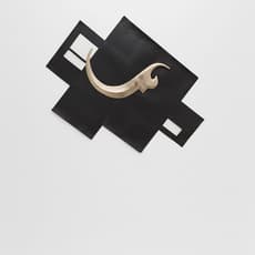 Sean Townley