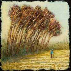 Simon Garden