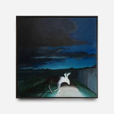 Eleanor Schiltz