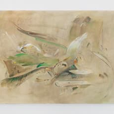 Xinran Liu