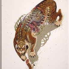 NYCHOS