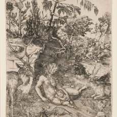 Lucas Cranach