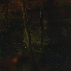 Arno Schidlowski