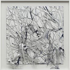 Soo Kim (b. 1969)