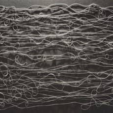 Christiane Feser