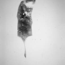 Donata Wenders