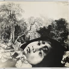 Sarah Schumann