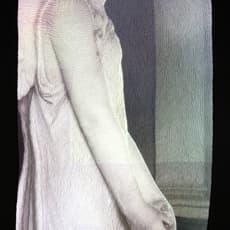 Luanne Rimel