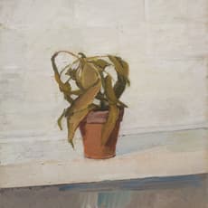 Claude Rogers
