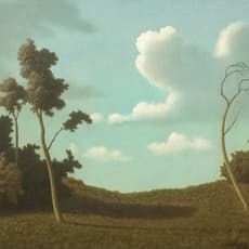 Algernon Newton