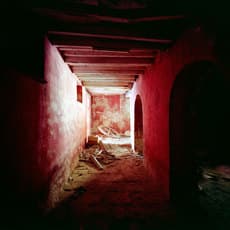 Thomas Jorion