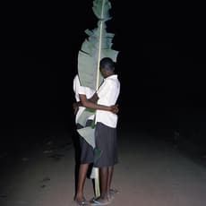 Viviane Sassen