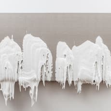 Roxy Paine