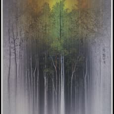 Susumu Endo