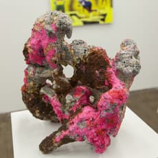 Randy Wray