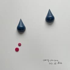 Yen-Shu CHEN