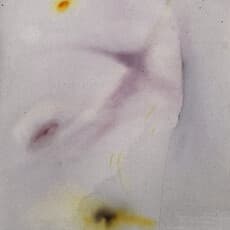 Arlina Cai