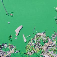 Marina Bindich