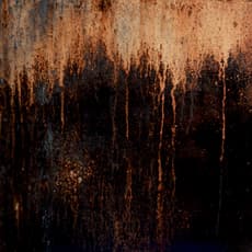 Maria Misselbrook