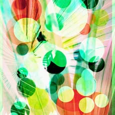 Mauren Brodbeck