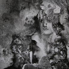Frederick Sommer