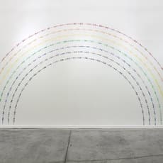Mircea Cantor