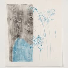 Phillippa Peckham