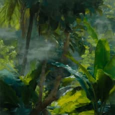 Claudia Carr