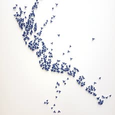 Rachel Shaw Ashton