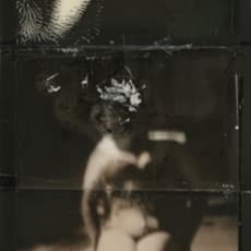 Ashley Wood