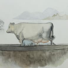 Duan Jianyu