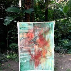 Vivian Suter