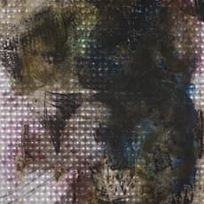 Renaud Regnery