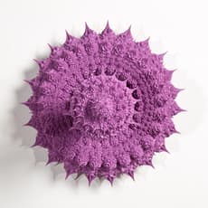 Anke Eilergerhard