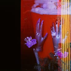 Deborah Roan